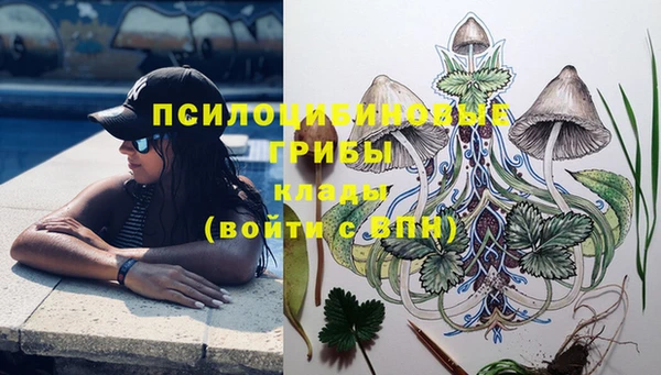 метадон Белокуриха