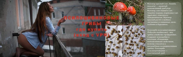 метадон Белокуриха