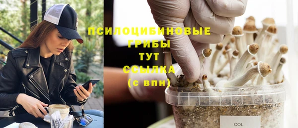 гидра Беломорск
